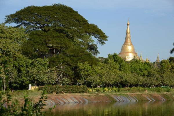 Yangon Jan17 053.jpg