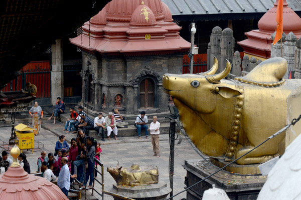 Nepal Sep17 196.jpg