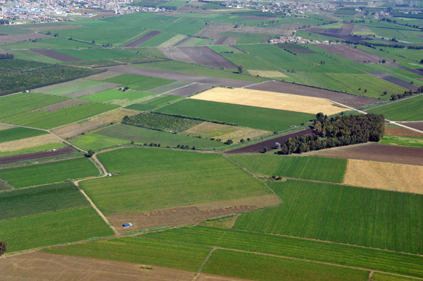 Farmland outside Algiers