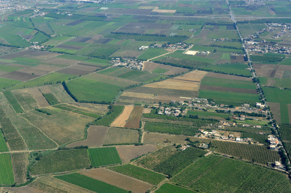 Farmland outside Algiers