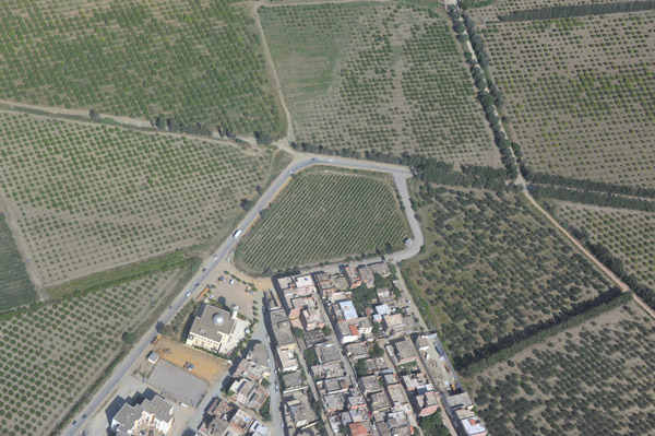 Agricultural village and orchards outside Algiers