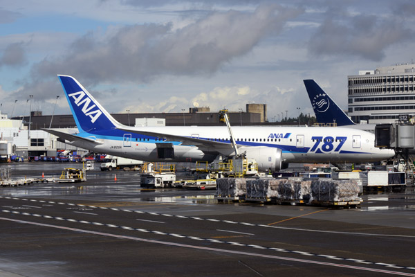 One of the first B787 of ANA (JA805A) at SEA