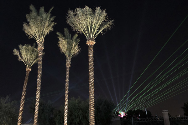 Palm trees and laser show, UAE National Day