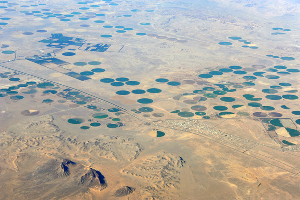 Irrigated farmland in the desert at Bir Ibn Hirmas, Tabuk Region, Saudi Arabia