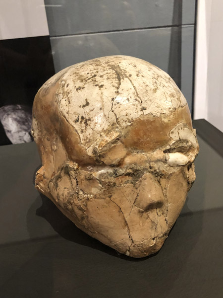 Plastered Human Skull, Jericho, ca 8500-7500 BC