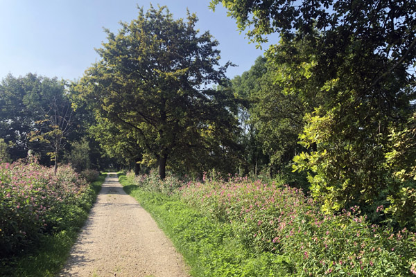 Cycling to Schleiheim