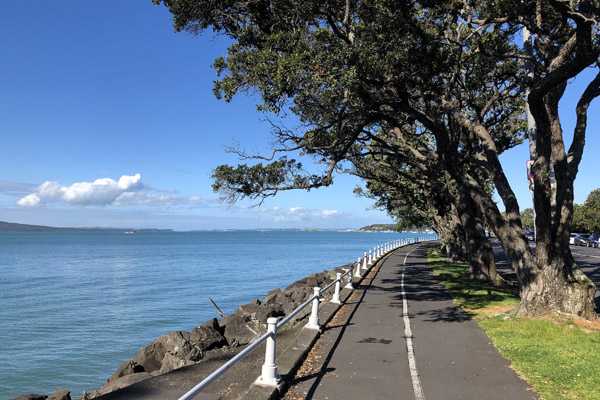 Auckland Coastal Cycle Path