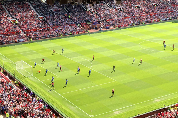 Manchester United v. Cardiff City