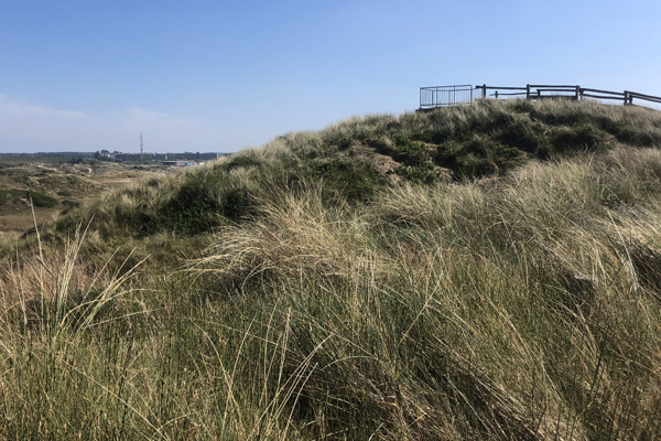 Observation Point, Nationaal Park Zuid-Kennemerland, Zandvoort