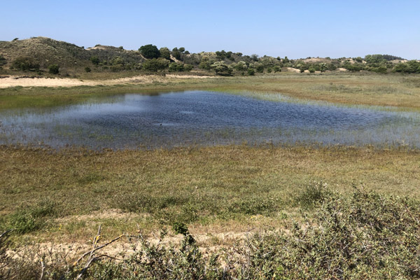 Nationaal Park Zuid-Kennemerland, Bloemendaal aan Zee