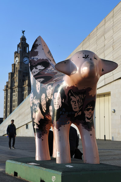 Liverpool Super Lambanana