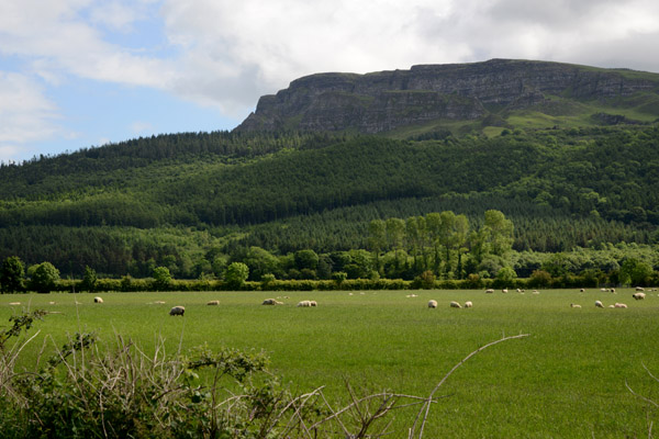Drive up to the Gortmore Viewpoint for views of Limavady and Magilligan Point