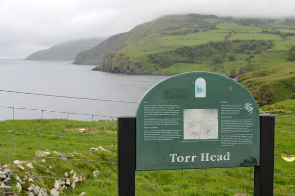 Torr Head