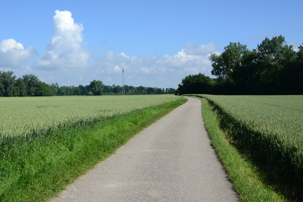 Donau-Radweg between Günzburg and Gundelfingen