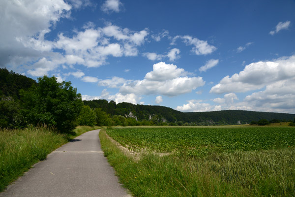 Donauradweg between Kelheim and Regensburg