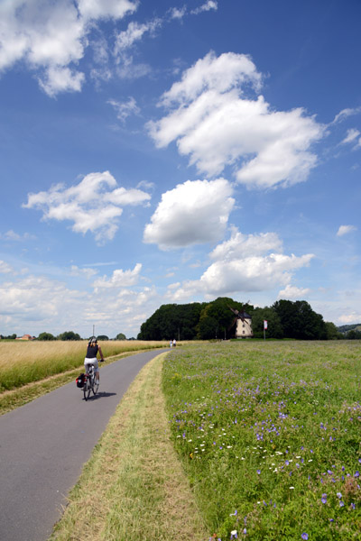 Cyclist on the Elberadweg, Gohlis