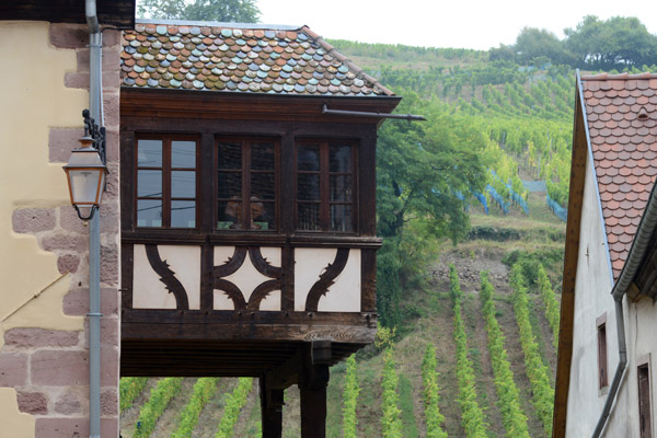 Lovely timbered room overlooking Riquewihr's vineyards