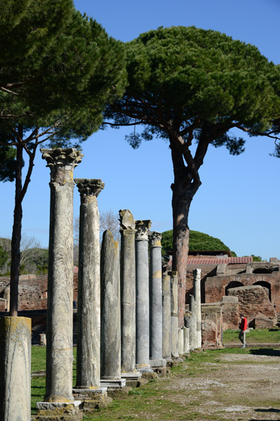 Row of columns at the Theater, Ostia Antica