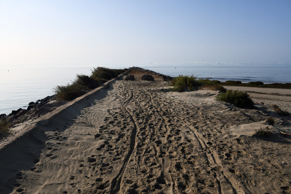 Algarve Sep20 2534.jpg