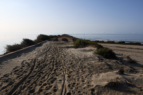 Algarve Sep20 2539.jpg