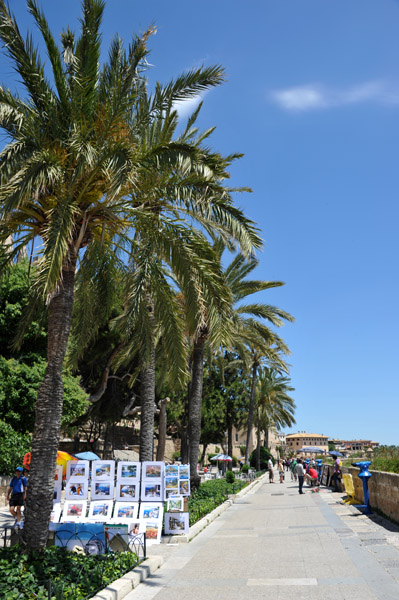 Palm lined walk atop the city walls