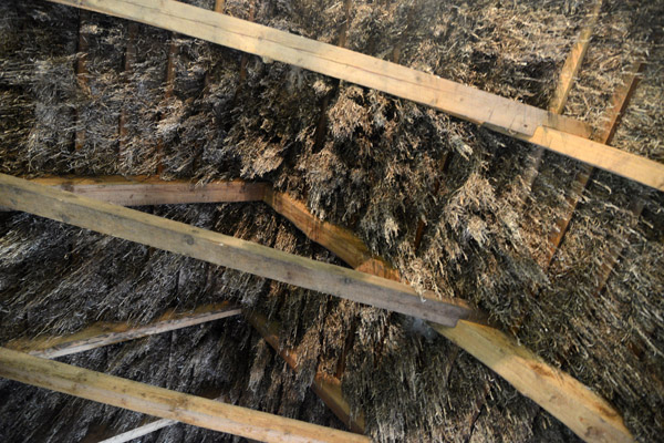Rafters of the barn showing the underside of a Ls seaweed thatched house