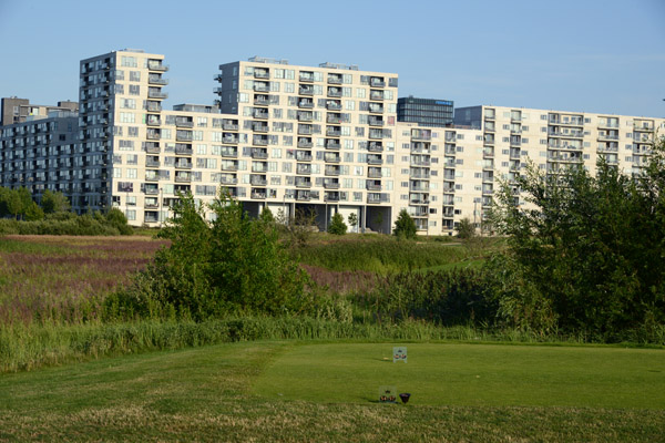 Apartments on Vestmager behind the Royal Golf Club