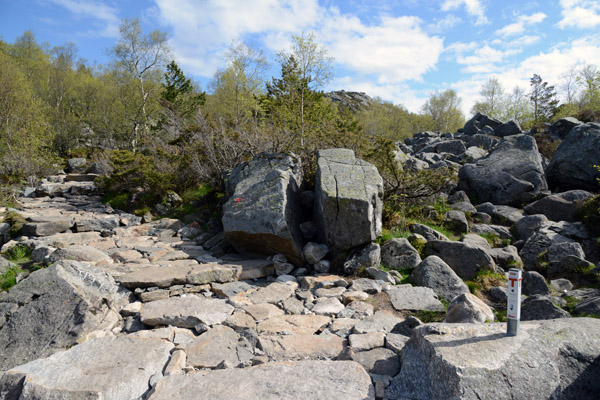 Midpoint of the Preikestolen Trail
