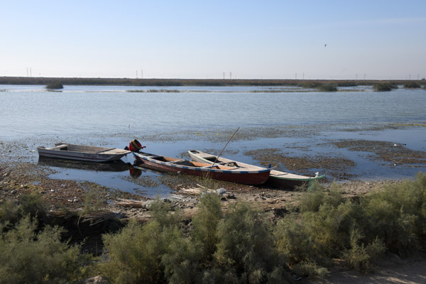 Iraq Dec21 2019.jpg