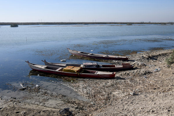 Iraq Dec21 2022.jpg