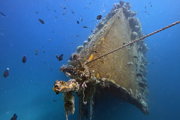 South Male' Atoll - Bolifushi Wreck