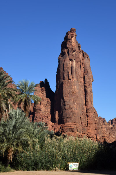 SaudiArabia Feb22 1225.jpg