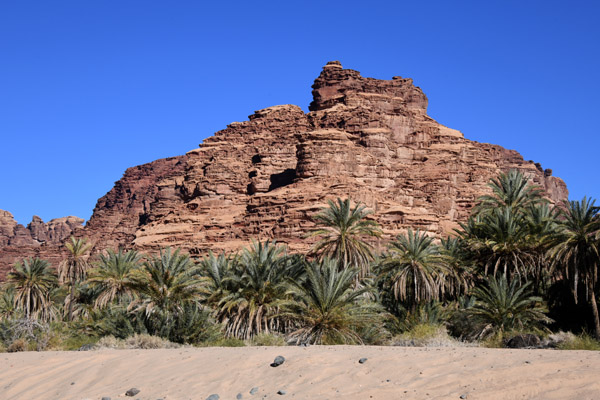 SaudiArabia Feb22 1267.jpg