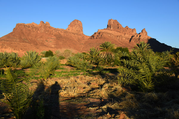SaudiArabia Feb22 1402.jpg
