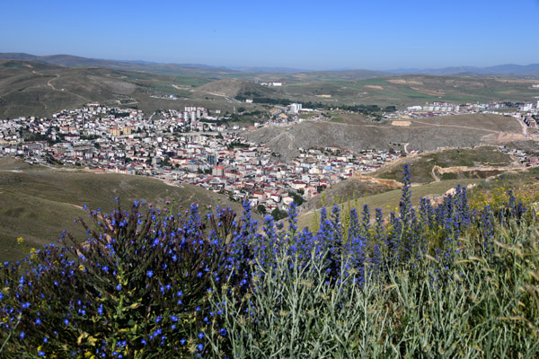 BlackSea Jul22 1229.jpg