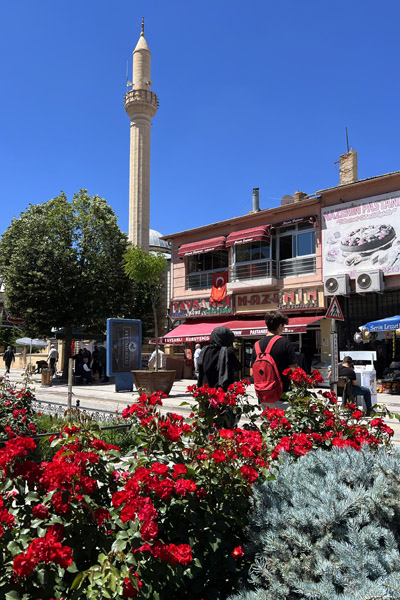 TZX Jul22 876.jpg
