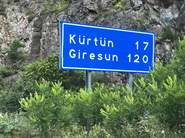 TZX Jul22 286.jpg