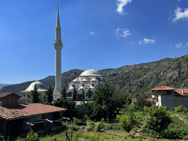 TZX Jul22 508.jpg