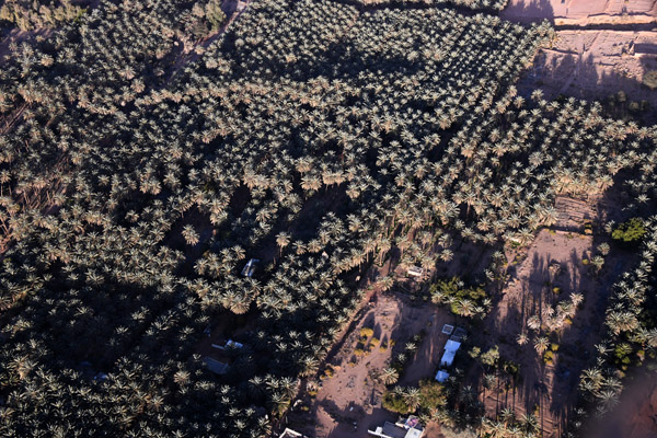 SaudiArabia Feb22 0521.jpg
