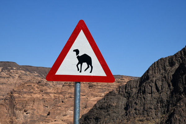 SaudiArabia Feb22 0819.jpg