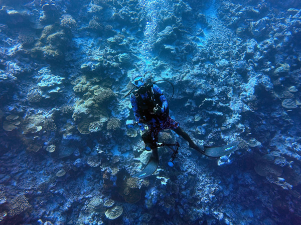 Maldives Feb22 1519.jpg