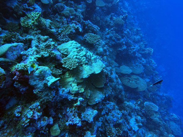 Maldives Feb22 1521.jpg