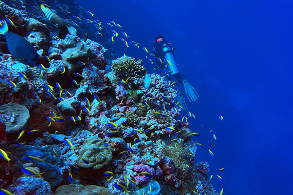 Maldives Feb22 1528.jpg