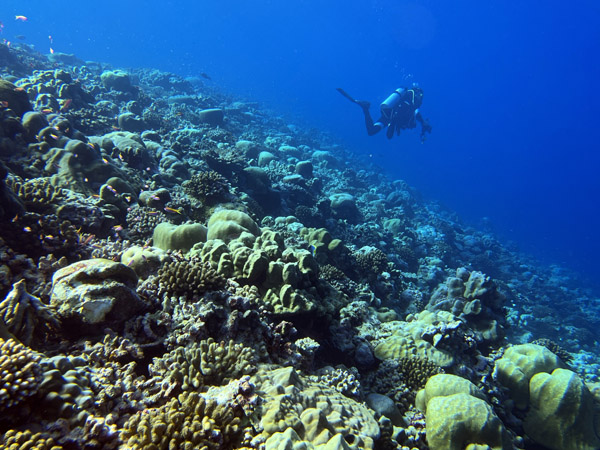 Maldives Feb22 1616.jpg