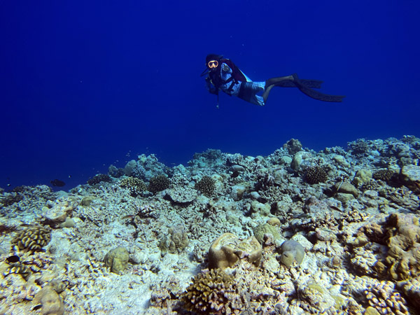 Maldives Feb22 1628.jpg
