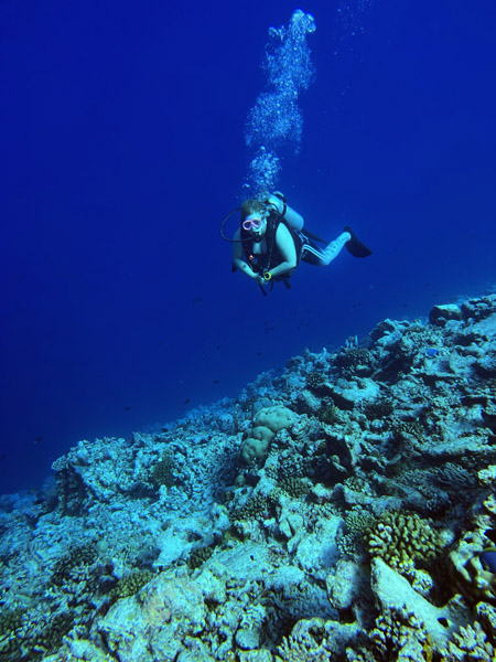 Maldives Feb22 1638.jpg