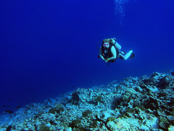 Maldives Feb22 1639.jpg