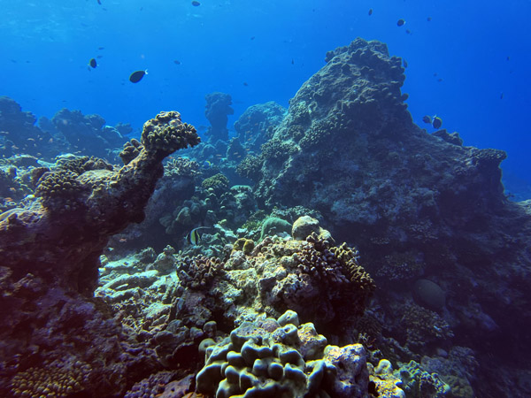 Maldives Feb22 1646.jpg