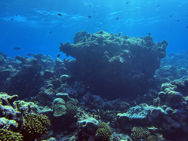 Maldives Feb22 1648.jpg