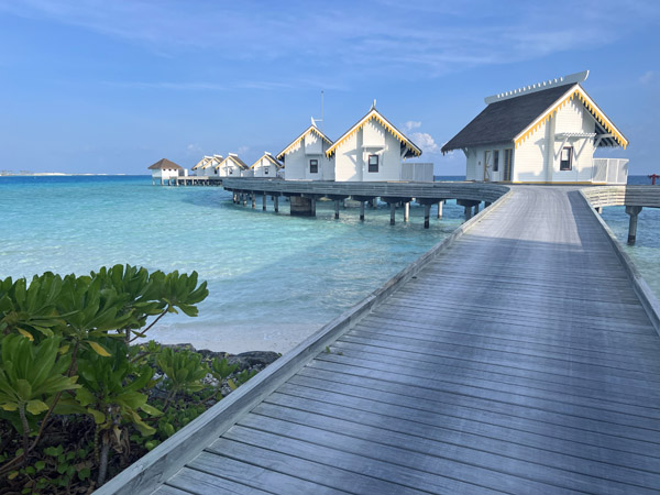 Maldives Feb22 0302.jpg